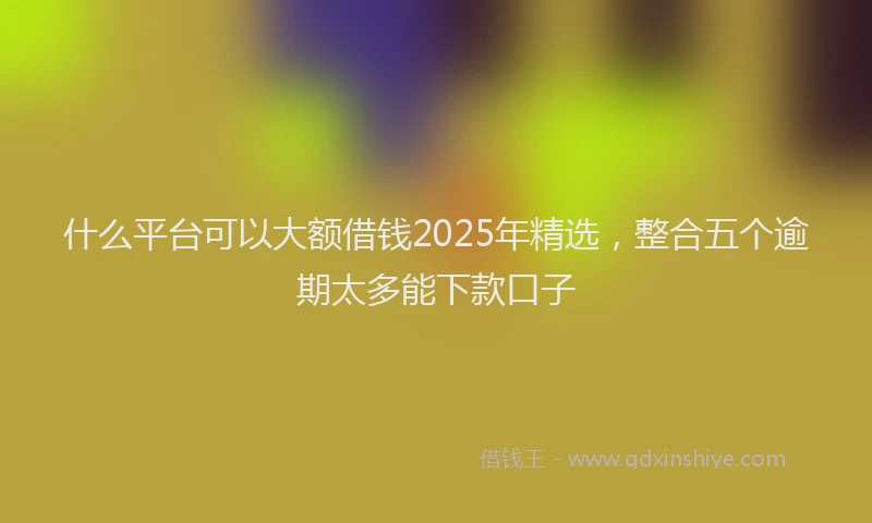 什么平台可以大额借钱2025年精选，整合五个逾期太多能下款口子