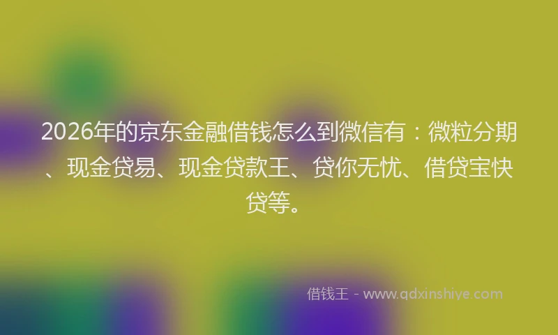2026年的京东金融借钱怎么到微信有:微粒分期、现金贷易、现金贷款王、贷你无忧、借贷宝快贷等。
