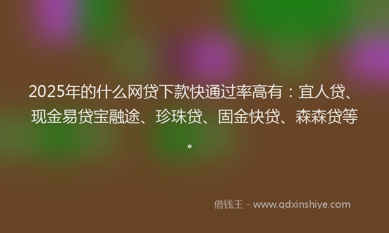 2025年的什么网贷下款快通过率高有：宜人贷、现金易贷宝融途、珍珠贷、固金快贷、森森贷等。