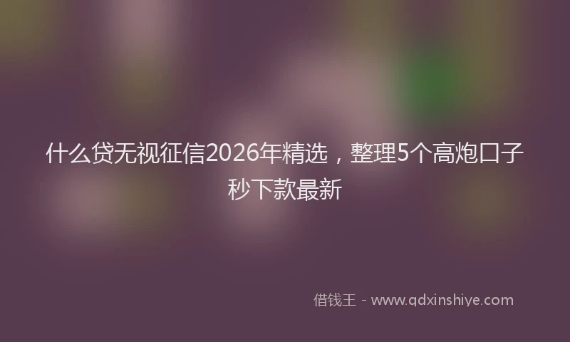 什么贷无视征信2026年精选，整理5个高炮口子秒下款最新