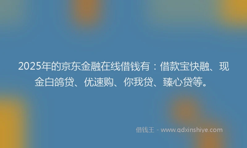 2025年的京东金融在线借钱有：借款宝快融、现金白鸽贷、优速购、你我贷、臻心贷等。