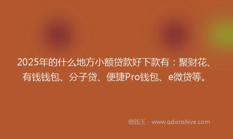2025年的什么地方小额贷款好下款有：聚财花、有钱钱包、分子贷、便捷Pro钱包、e微贷等。