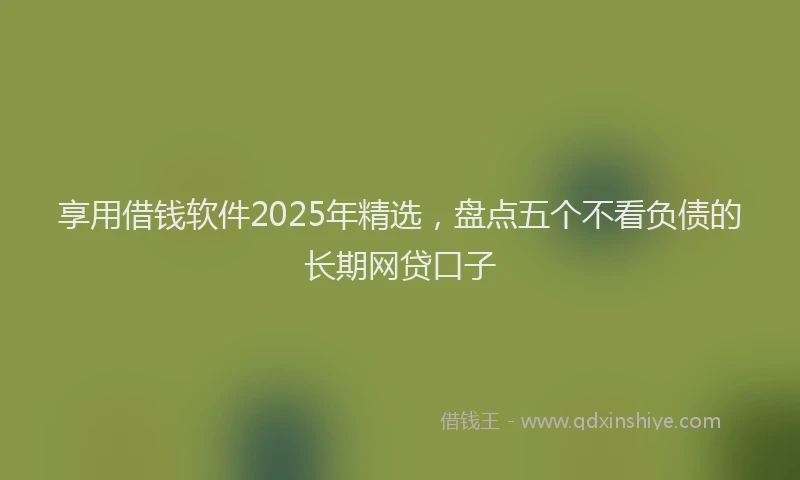 享用借钱软件2025年精选，盘点五个不看负债的长期网贷口子