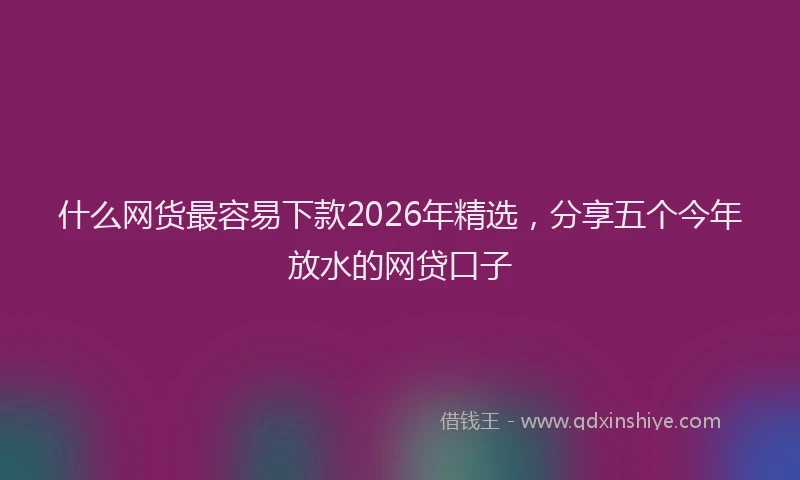 什么网货最容易下款2026年精选，分享五个今年放水的网贷口子