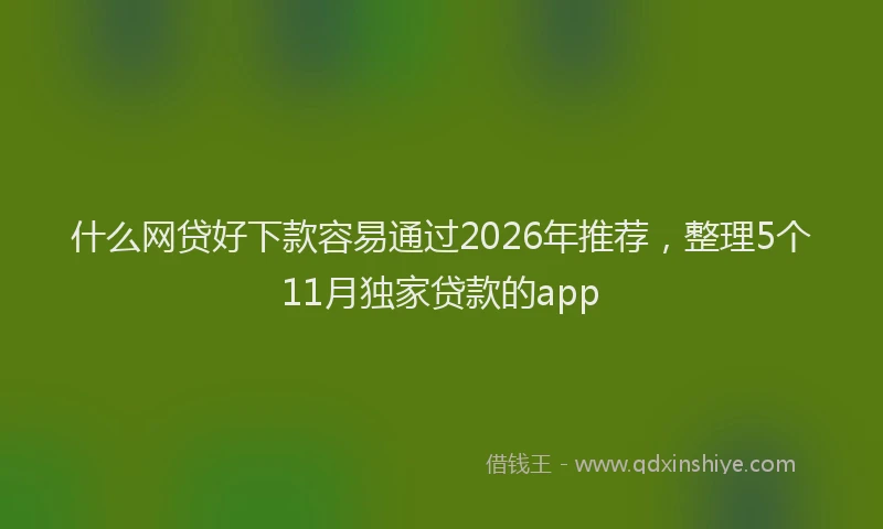 什么网贷好下款容易通过2026年推荐,整理5个11月独家贷款的app
