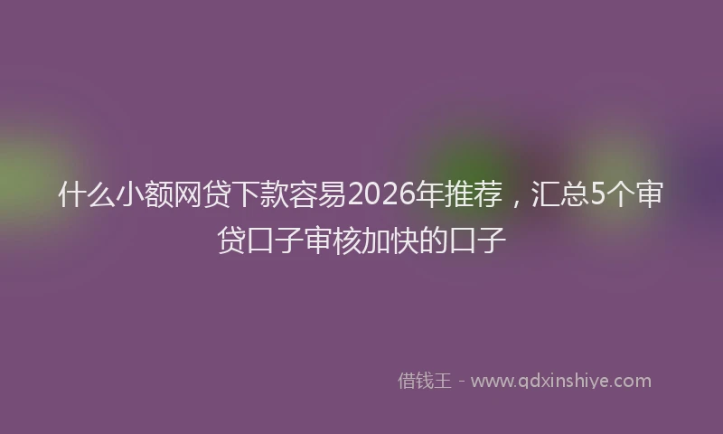 什么小额网贷下款容易2026年推荐，汇总5个审贷口子审核加快的口子