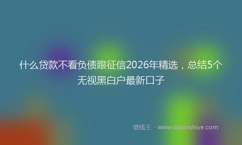什么贷款不看负债跟征信2026年精选，总结5个无视黑白户最新口子