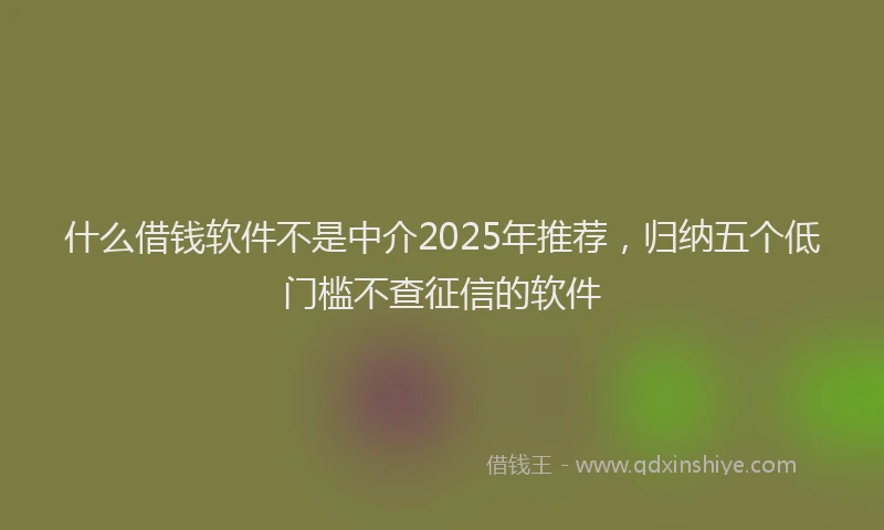 什么借钱软件不是中介2025年推荐，归纳五个低门槛不查征信的软件