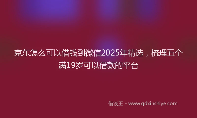 京东怎么可以借钱到微信2025年精选,梳理五个满19岁可以借款的平台