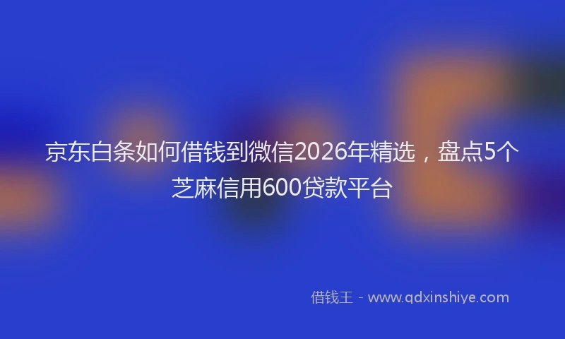 京东白条如何借钱到微信2026年精选，盘点5个芝麻信用600贷款平台