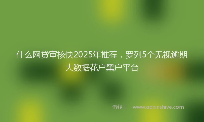 什么网贷审核快2025年推荐,罗列5个无视逾期大数据花户黑户平台