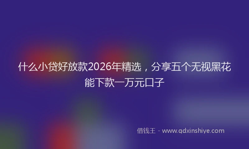 什么小贷好放款2026年精选，分享五个无视黑花能下款一万元口子