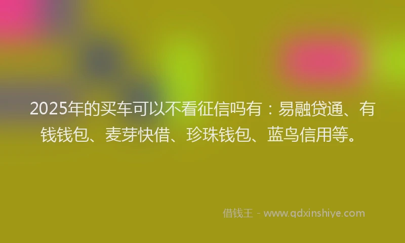 2025年的买车可以不看征信吗有：易融贷通、有钱钱包、麦芽快借、珍珠钱包、蓝鸟信用等。