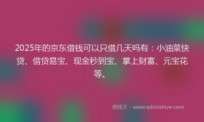 2025年的京东借钱可以只借几天吗有：小油菜快贷、借贷易宝、现金秒到宝、掌上财富、元宝花等。