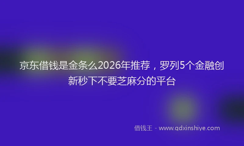 京东借钱是金条么2026年推荐，罗列5个金融创新秒下不要芝麻分的平台