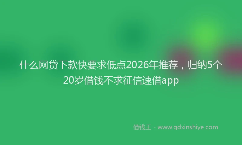 什么网贷下款快要求低点2026年推荐，归纳5个20岁借钱不求征信速借app