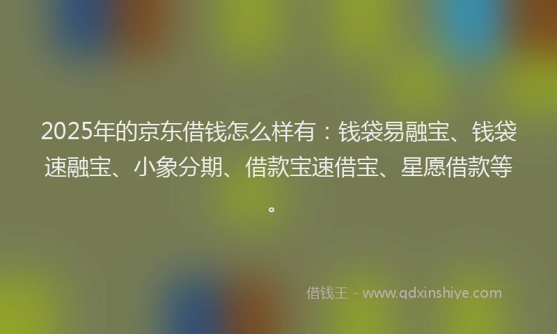 2025年的京东借钱怎么样有：钱袋易融宝、钱袋速融宝、小象分期、借款宝速借宝、星愿借款等。