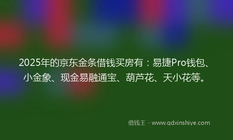 2025年的京东金条借钱买房有：易捷Pro钱包、小金象、现金易融通宝、葫芦花、天小花等。