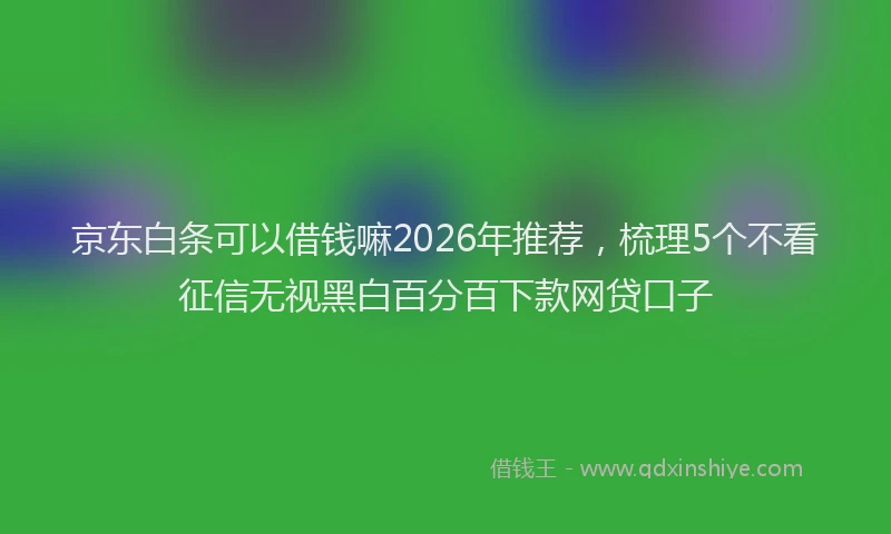 京东白条可以借钱嘛2026年推荐，梳理5个不看征信无视黑白百分百下款网贷口子