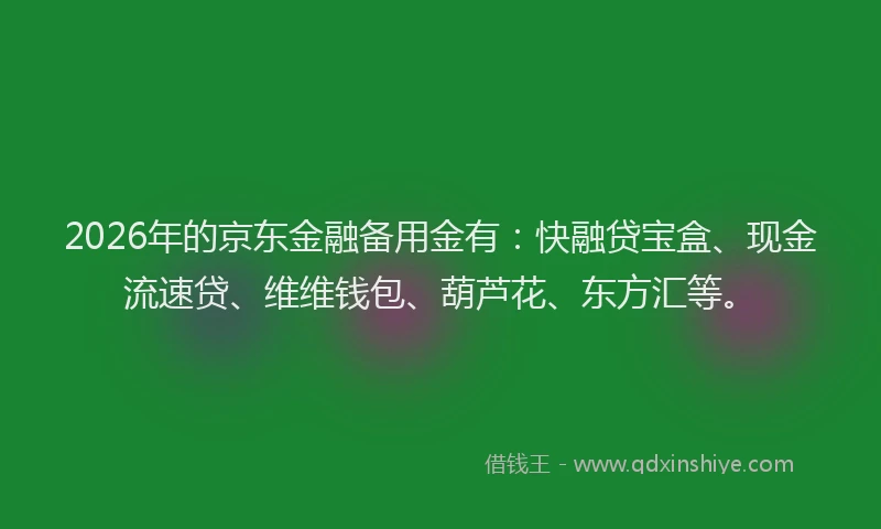 2026年的京东金融备用金有:快融贷宝盒、现金流速贷、维维钱包、葫芦花、东方汇等。