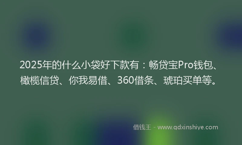 2025年的什么小袋好下款有：畅贷宝Pro钱包、橄榄信贷、你我易借、360借条、琥珀买单等。