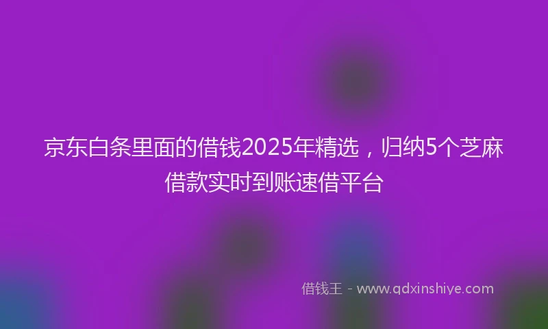 京东白条里面的借钱2025年精选，归纳5个芝麻借款实时到账速借平台