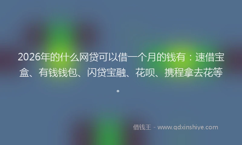 2026年的什么网贷可以借一个月的钱有：速借宝盒、有钱钱包、闪贷宝融、花呗、携程拿去花等。