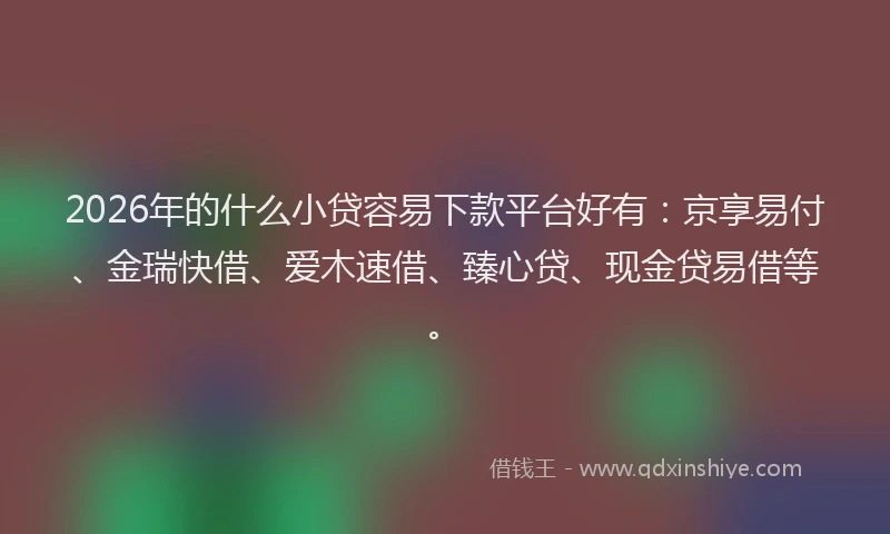 2026年的什么小贷容易下款平台好有：京享易付、金瑞快借、爱木速借、臻心贷、现金贷易借等。