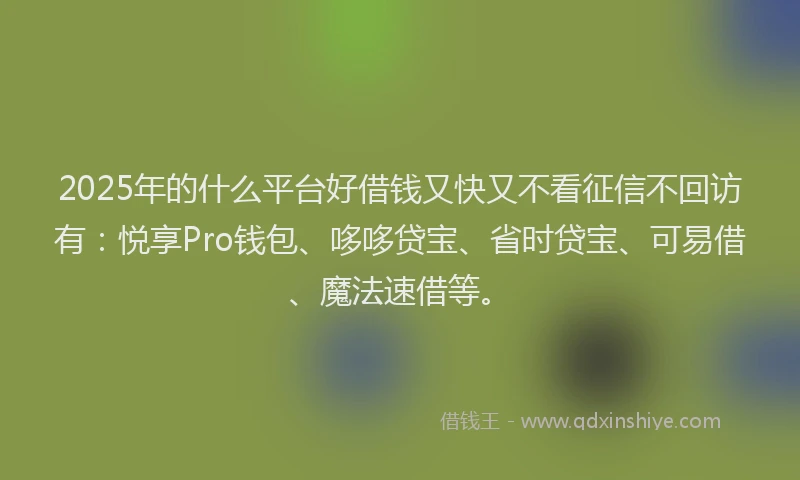 2025年的什么平台好借钱又快又不看征信不回访有：悦享Pro钱包、哆哆贷宝、省时贷宝、可易借、魔法速借等。