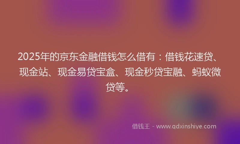 2025年的京东金融借钱怎么借有:借钱花速贷、现金站、现金易贷宝盒、现金秒贷宝融、蚂蚁微贷等。