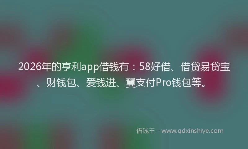 2026年的亨利app借钱有:58好借、借贷易贷宝、财钱包、爱钱进、翼支付Pro钱包等。