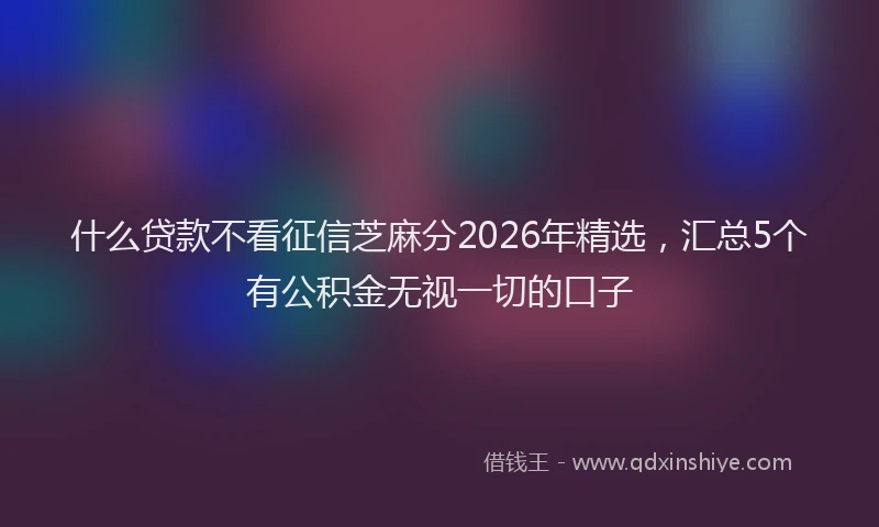 什么贷款不看征信芝麻分2026年精选，汇总5个有公积金无视一切的口子