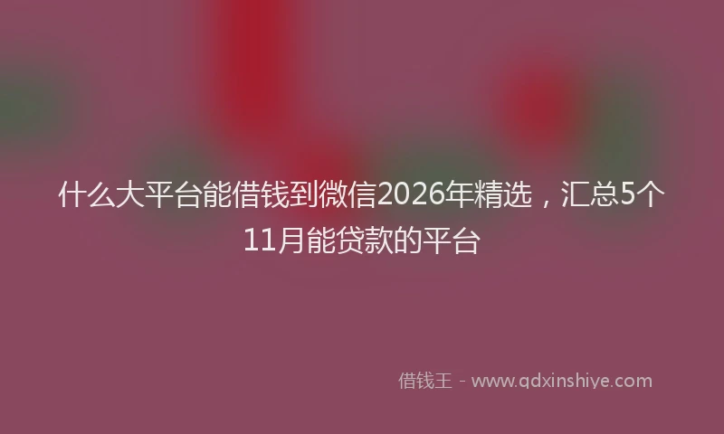 什么大平台能借钱到微信2026年精选，汇总5个11月能贷款的平台