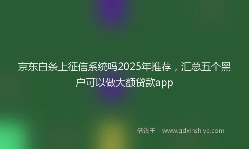 京东白条上征信系统吗2025年推荐，汇总五个黑户可以做大额贷款app