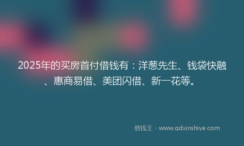 2025年的买房首付借钱有：洋葱先生、钱袋快融、惠商易借、美团闪借、新一花等。