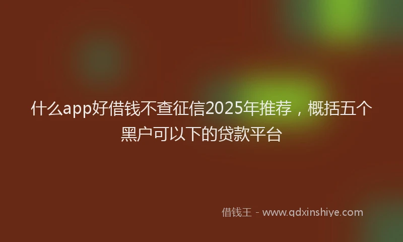 什么app好借钱不查征信2025年推荐，概括五个黑户可以下的贷款平台