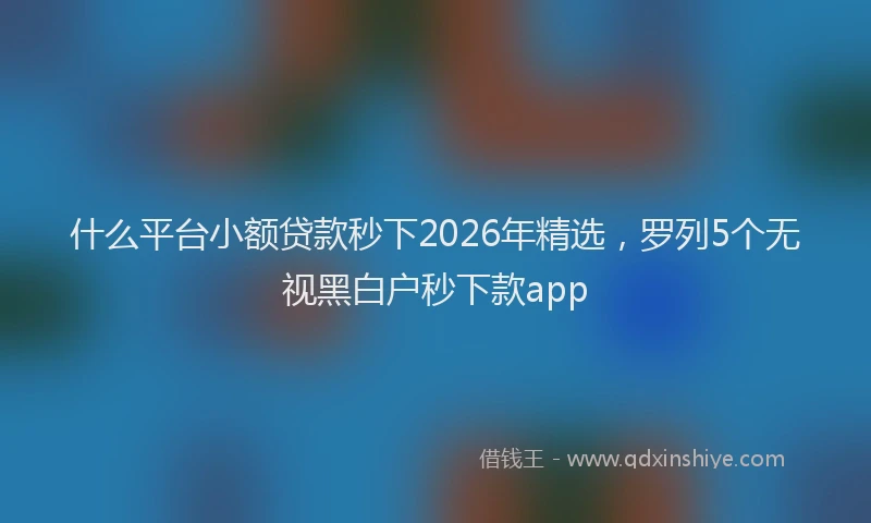 什么平台小额贷款秒下2026年精选，罗列5个无视黑白户秒下款app