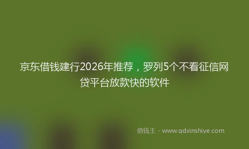 京东借钱建行2026年推荐，罗列5个不看征信网贷平台放款快的软件