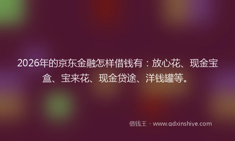 2026年的京东金融怎样借钱有：放心花、现金宝盒、宝来花、现金贷途、洋钱罐等。