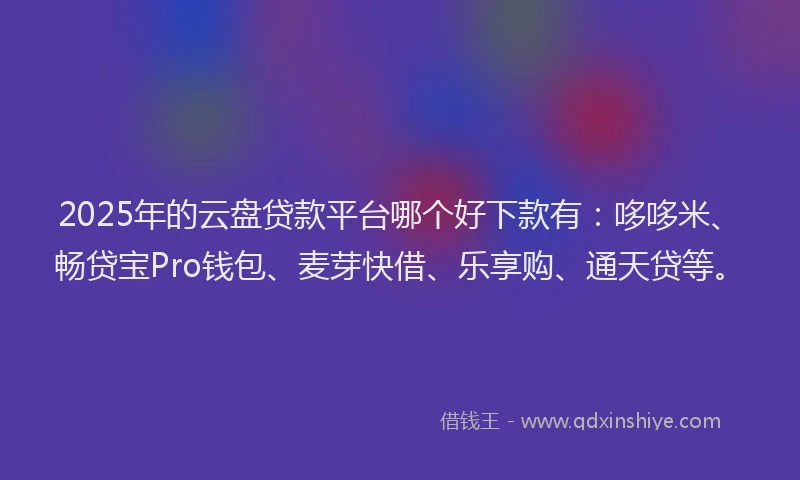 2025年的云盘贷款平台哪个好下款有：哆哆米、畅贷宝Pro钱包、麦芽快借、乐享购、通天贷等。