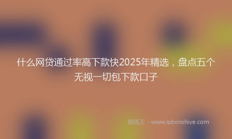 什么网贷通过率高下款快2025年精选，盘点五个无视一切包下款口子