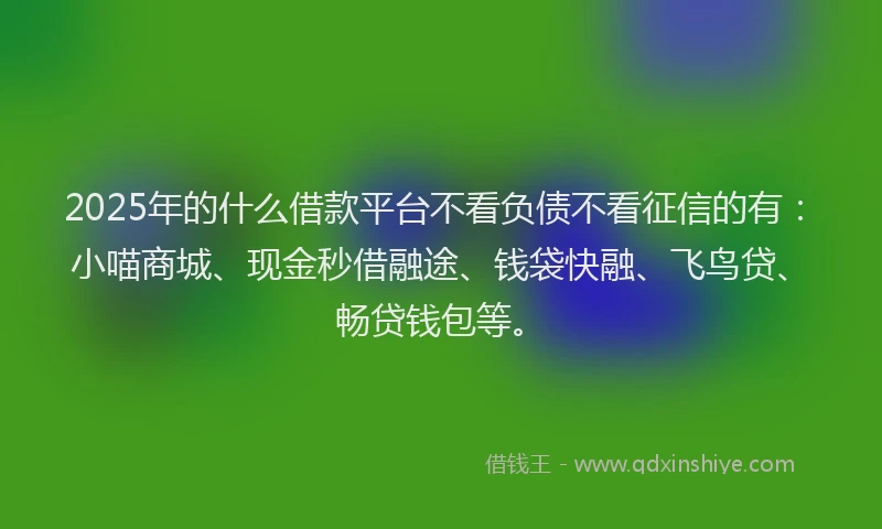2025年的什么借款平台不看负债不看征信的有：小喵商城、现金秒借融途、钱袋快融、飞鸟贷、畅贷钱包等。