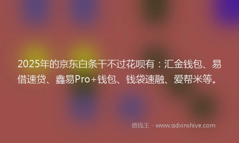 2025年的京东白条干不过花呗有:汇金钱包、易借速贷、鑫易Pro+钱包、钱袋速融、爱帮米等。