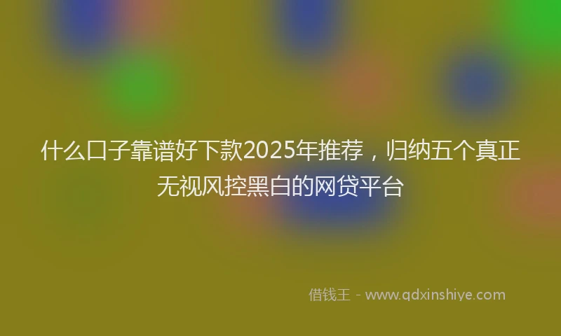 什么口子靠谱好下款2025年推荐,归纳五个真正无视风控黑白的网贷平台