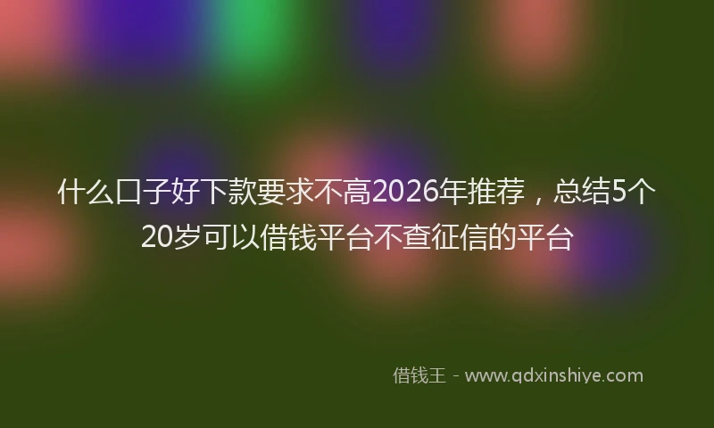 什么口子好下款要求不高2026年推荐，总结5个20岁可以借钱平台不查征信的平台