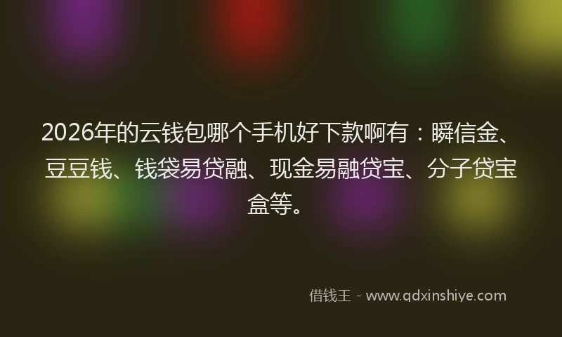 2026年的云钱包哪个手机好下款啊有:瞬信金、豆豆钱、钱袋易贷融、现金易融贷宝、分子贷宝盒等。