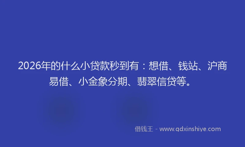 2026年的什么小贷款秒到有:想借、钱站、沪商易借、小金象分期、翡翠信贷等。