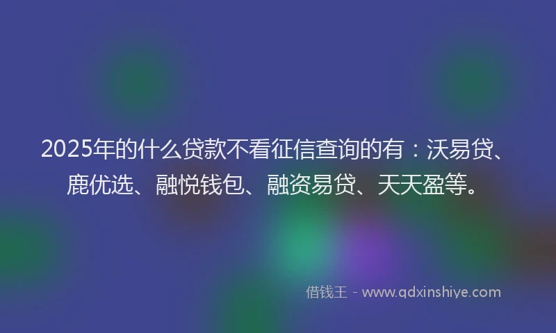 2025年的什么贷款不看征信查询的有：沃易贷、鹿优选、融悦钱包、融资易贷、天天盈等。