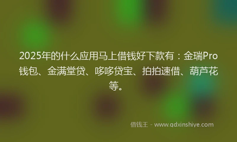 2025年的什么应用马上借钱好下款有：金瑞Pro钱包、金满堂贷、哆哆贷宝、拍拍速借、葫芦花等。