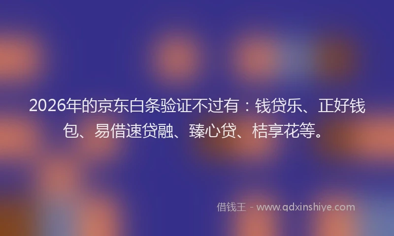 2026年的京东白条验证不过有：钱贷乐、正好钱包、易借速贷融、臻心贷、桔享花等。